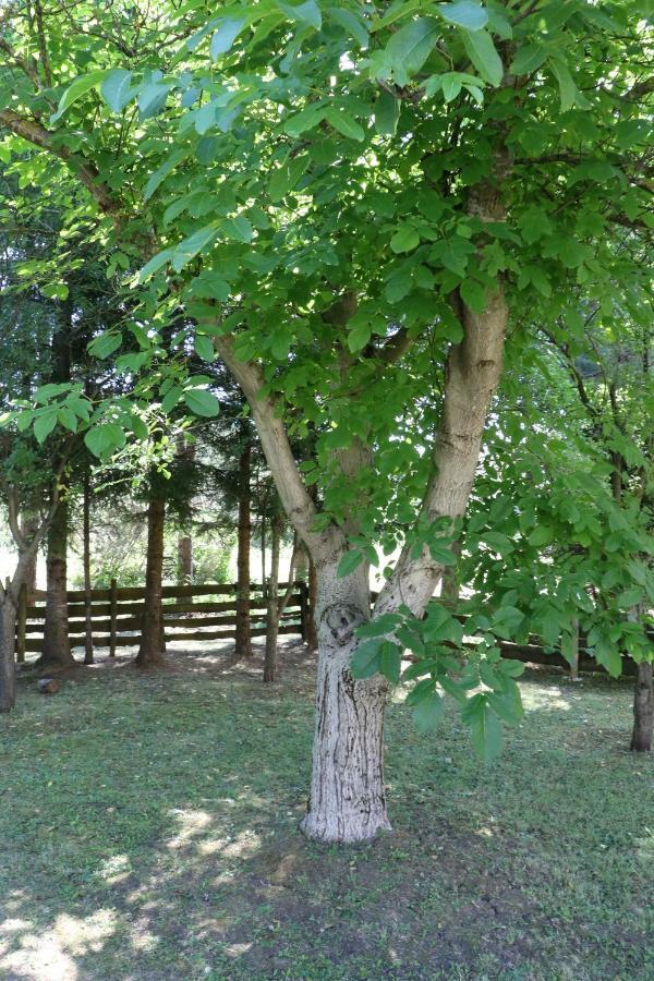 Holiday Home "Iris" Near Plitvice Lakes Rudanovac エクステリア 写真